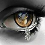 Profile Picture of Joyce Bernhardt (@bernhardtjoyce) on Instagram