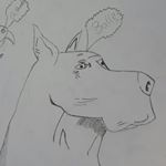 Profile Picture of Kevin Burmeister (@burmikev) on Instagram