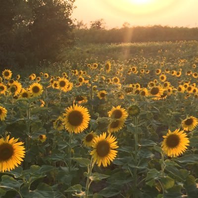 Profile Picture of KimJudd (@judd_kim) on Twitter