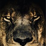 Profile Picture of Alejandro Suaza Reyes (@alejandro_suaza11) on Instagram