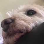 Profile Picture of Joshua Kilpatrick (@jkiller_family) on Instagram