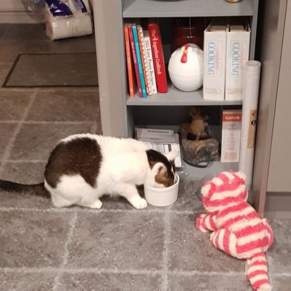 Profile Picture of Michelle Apted (@michelleapted) on Poshmark