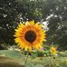 Profile Picture of Donna Bloomer (@donna.bloomer.73) on Facebook