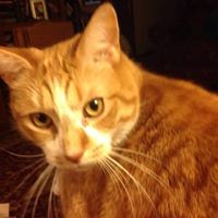 Profile Picture of Suzanne Cormack-lennex (@suzanne-cormack-lennex) on Quora