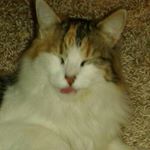 Profile Picture of Maximiliano Valdes (@maxvaldes2007) on Instagram