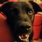 Profile Picture of Debra Forehand (@Debra-Forehand) on Facebook