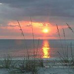 Profile Picture of debbieperrotti53 (@debbieperrotti53) on Instagram