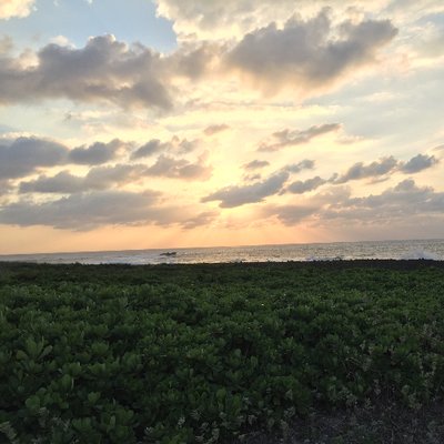 Profile Picture of Jen-Wei Liu (@AlbertWei1) on Twitter
