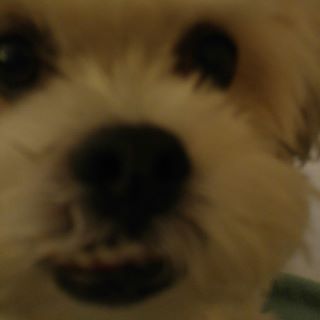 Profile Picture of Tyler Rourke (@Tyler-Rourke) on Facebook