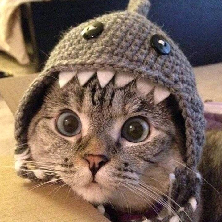 Profile Picture of Дмитрий Федоров (@user66243699) on Tiktok