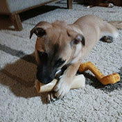 Profile Picture of Tiny Dancer Layla (@tinydancerlayla) on Youtube