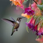 Howard Grimes - Facebook Profile Picture of Howard Grimes (@jhbvf56) on Facebook