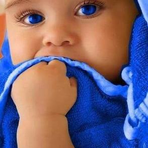 Profile Picture of Hardy Stone (@nilda0217) on Twitter