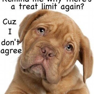 Profile Picture of Jade Clements (@ClementsJade101) on Twitter