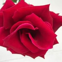 Profile Picture of Jimmie Rich (@jimmie-rich-3) on Quora