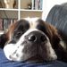 Profile Picture of bobby wadey (@bwadey) on Pinterest