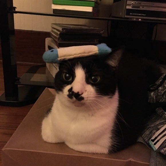 Profile Picture of Kat Piccinini (@kpiccinini) on Poshmark