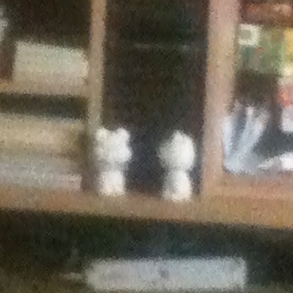 Profile Picture of Deedle Weedles (@doodlepoodle) on Poshmark