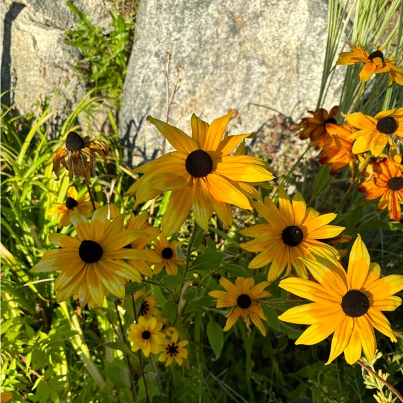 Profile Picture of Christina Paone (@greengreen111) on Poshmark