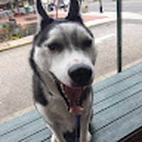 Profile Picture of Matt Danetti (@matt-danetti) on Quora