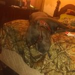Profile Picture of Joseph Currington (@curringtonjoseph) on Instagram