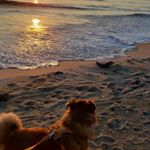 Profile Picture of James Boswell (@james.boswell.520) on Instagram