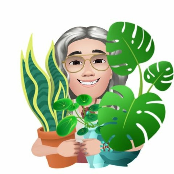 Profile Picture of Sandy Hopper (@sandyhopper) on Poshmark