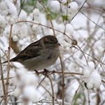 ROSNER - Instagram Profile Picture of ROSNER (@rosnerkimbrou) on Instagram