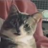 Profile Picture of Bart Richardson (@bartrichardson7009) on Tiktok