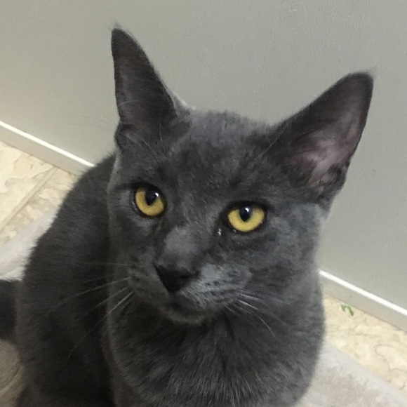 Profile Picture of Andrew Vicente (@drew27193) on Poshmark