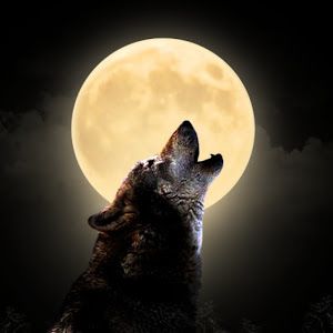 Profile Picture of Chris Pero (@chris.pero8) on Tiktok