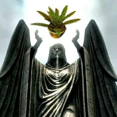 Profile Picture of Charles The Plant (@MorrowindPlant) on Twitter