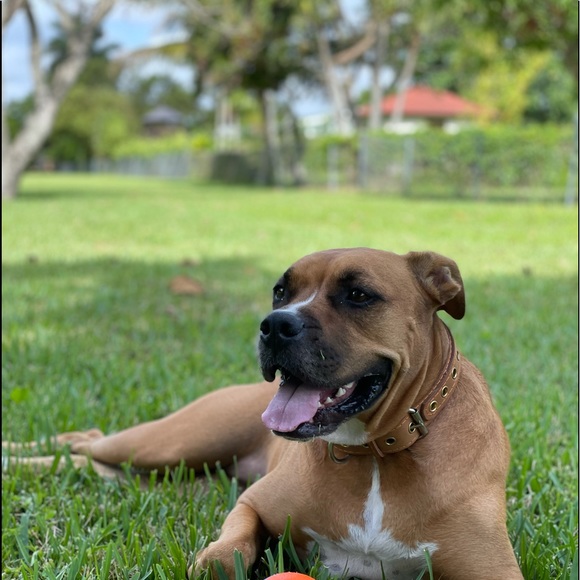 Profile Picture of Alexey Nozikon (@befit305) on Poshmark