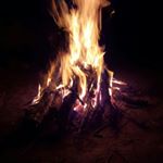 Alexander Ibanez - Instagram Profile Picture of Alexander Ibanez (@nowarninglabels1) on Instagram