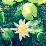 Profile Picture of Kenny Stevens (@kenny.stevens.lta) on Instagram