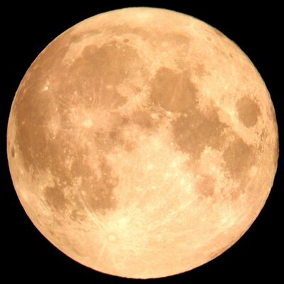 Profile Picture of Flora Ip (@SkipFlora) on Twitter
