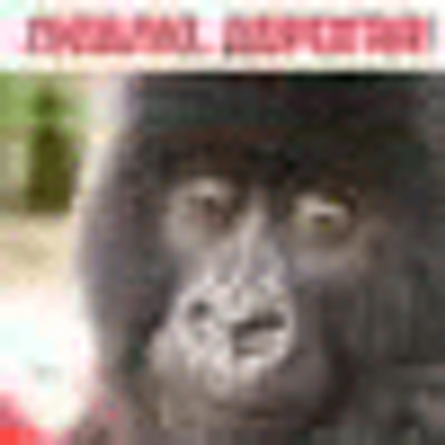 Profile Picture of Marcus Abbott (@katzbry33o) on Twitter