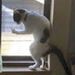 Profile Picture of Tony Roland (@troland5) on Pinterest