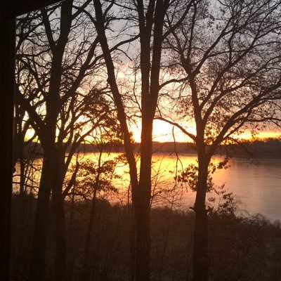 Profile Picture of Lynne Plummer (@lynneep) on Twitter