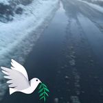 Eugene Mccormack - Instagram Profile Picture of Eugene Mccormack (@eoghanmac15) on Instagram