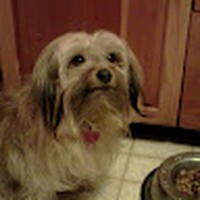 Profile Picture of G. Heath (@g-heath-5) on Quora