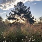 Profile Picture of Tom Saxton (@colluvium) on Instagram