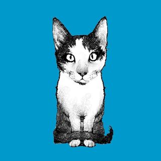 Profile Picture of Schilt Publishing & Gallery (@schilt_publishing) on Instagram