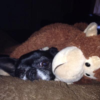 Profile Picture of Lisa Fasolino (@l_fasolino) on Twitter