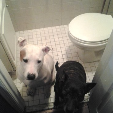 Jerell Brown - Twitter Profile Picture of Jerell Brown (@bosox812) on Twitter