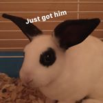 Profile Picture of Eugene Barker (@bun_bun_forever3) on Instagram
