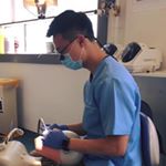 Profile Picture of Steven Wong (@stevenwongkin) on Instagram