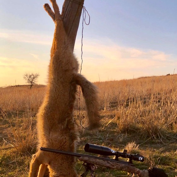 Profile Picture of Luis Salcido (@salcidol) on Poshmark