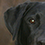 Profile Picture of CJW#4 (@CJW#4) on Flickr