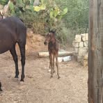 Profile Picture of Samuele Pagano (@Samuele-Pagano) on Facebook